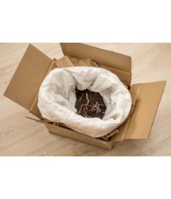 Neudorff Bestell-Set Kompostwürmer -Garten Sinn Verkaufsgeschäft 2027043 WE DE 002 Neudorff BestellsetKompostwuermer