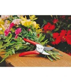 Wolf-Garten Wolf Gartenschere RR-EN -Garten Sinn Verkaufsgeschäft 239038 MO 002 GARTENSCHERERREN