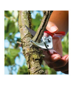 Wolf-Garten Wolf Gartenschere RR-EN -Garten Sinn Verkaufsgeschäft 239038 MO 004 GARTENSCHERERREN