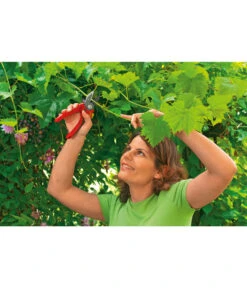 Wolf-Garten Wolf Amboss Gartenschere RS 2500 -Garten Sinn Verkaufsgeschäft 5174214 MO 002 AMBOSSGARTENSCH RS2500