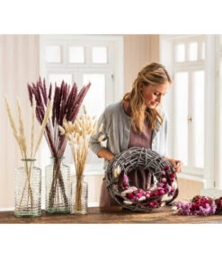 Trockenblumenbund Pampasgras -Garten Sinn Verkaufsgeschäft 6272587 WE MO 001 PampasgrasMauve Hasenschwanzgras