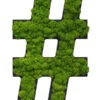 StyleGREEN Sonderzeichen 'Hashtag' Aus Islandmoos, Ca. B20/H25/T3,5 Cm