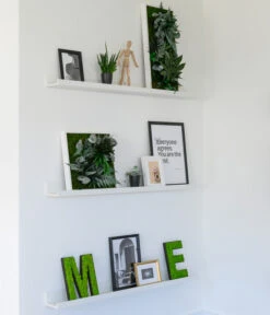 StyleGREEN Bild Im Dschungeldesign, Quadratisch, Ca. B35/H35/T16 Cm -Garten Sinn Verkaufsgeschäft 6429435 WE MO 004 BuchstabenIslandmoosimRegal