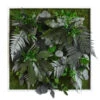 StyleGREEN Bild Aus Wald- Und Kugelmoos, Quadratisch, Ca. B55/H55/T17 Cm
