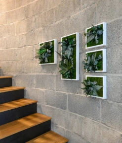 StyleGREEN Bild Im Dschungeldesign, Quadratisch, Ca. B35/H35/T16 Cm -Garten Sinn Verkaufsgeschäft 6429864 WE MO 002 Pflanzenbild35x35cmStylegreen