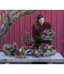 Grabstrauß In Liebe, Ca. Ø30 Cm -Garten Sinn Verkaufsgeschäft 6462857 WE MO 002 SerieInLiebePremiumAllerheiligen202301