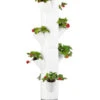 Gusta Garden Erdbeerbaum Sissi Strawberry Hanging, Ca. B27/H77/T27 Cm