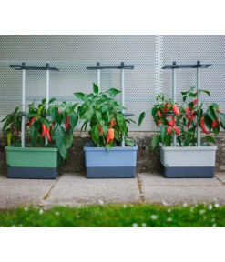 Gusta Garden Chilitopf Charly Chili, Ca. B35/H69/T28 Cm -Garten Sinn Verkaufsgeschäft 6627095 WE DE 001