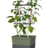 Gusta Garden Chilitopf Charly Chili, Ca. B35/H69/T28 Cm