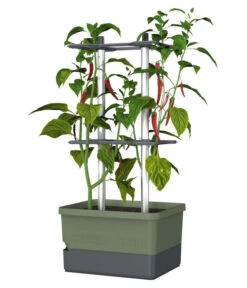 Gusta Garden Chilitopf Charly Chili, Ca. B35/H69/T28 Cm