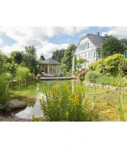 Wolff Finnhaus Pavillon Milano 3.5, Ca. B430,1/H346/T430,1 Cm -Garten Sinn Verkaufsgeschäft 6931927 WE MO 003 FinnhausGartenhaus