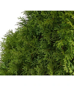 7 Meter Lebensbaum 'Smaragd', 14 X Ca. 125-150 Cm -Garten Sinn Verkaufsgeschäft 7513534 WE DE 001 ThujaLebensbaumOccidentalisSmaragd20LDehnerExpressHerzig 1