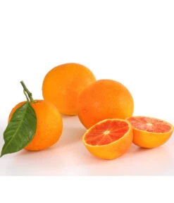 Blutorange 5 Blutorange -Garten Sinn Verkaufsgeschäft 7622756 PR DE 001 Blutorange Herzig