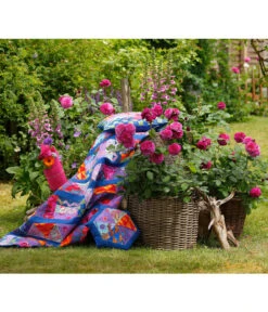 Beetrose 'Kaffe Fassett®' -Garten Sinn Verkaufsgeschäft 7988181 PR DE 003 EdelroseKaffeFassettTantau