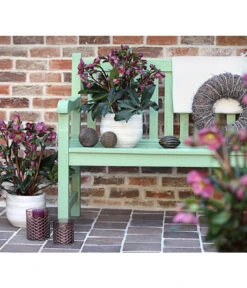 Schneerose 'Ice N' Roses® Red' - Helleborus Gold Collection® -Garten Sinn Verkaufsgeschäft 8010969 WE MO 001 HelleborusWeinrotDehnerExpressHerzig