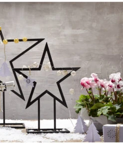 Alpenveilchen, Gefranst -Garten Sinn Verkaufsgeschäft 8217473 WE MO 028 Weihnachtsshooting 2015