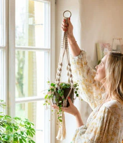 Peperomie - Peperomia 'Pepperspot' -Garten Sinn Verkaufsgeschäft 8252173 WE MO 001 PeperomiePepperspotMakrameeAmpel