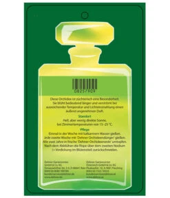 Duft-Orchidee - Phalaenopsis-Hybride 'Flacon Solaire' -Garten Sinn Verkaufsgeschäft 8257909 Etikett2 PhalaenopsisFlaconSolaire 02072018