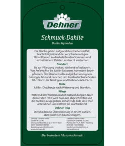 Dehner Premium Dahlie -Garten Sinn Verkaufsgeschäft 8822462 Schmuck Dahlie Etikett 2