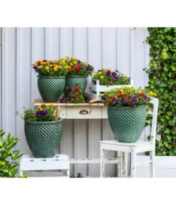 Pflanzenmix Trio Mio -Garten Sinn Verkaufsgeschäft 8827016 WE MO 001 SommermixSommertrioTrioMioVerbenenBidens