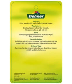 Kornelkirsche - Cornus Mas -Garten Sinn Verkaufsgeschäft KornelkirscheCornusmas Etikett 2