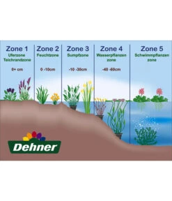Wasserpflanzen-Set Blütenparadies, Verschiedene Sorten, 6er-Schale -Garten Sinn Verkaufsgeschäft WE DE 001 Teichzonen Wasserpflanzen Schild